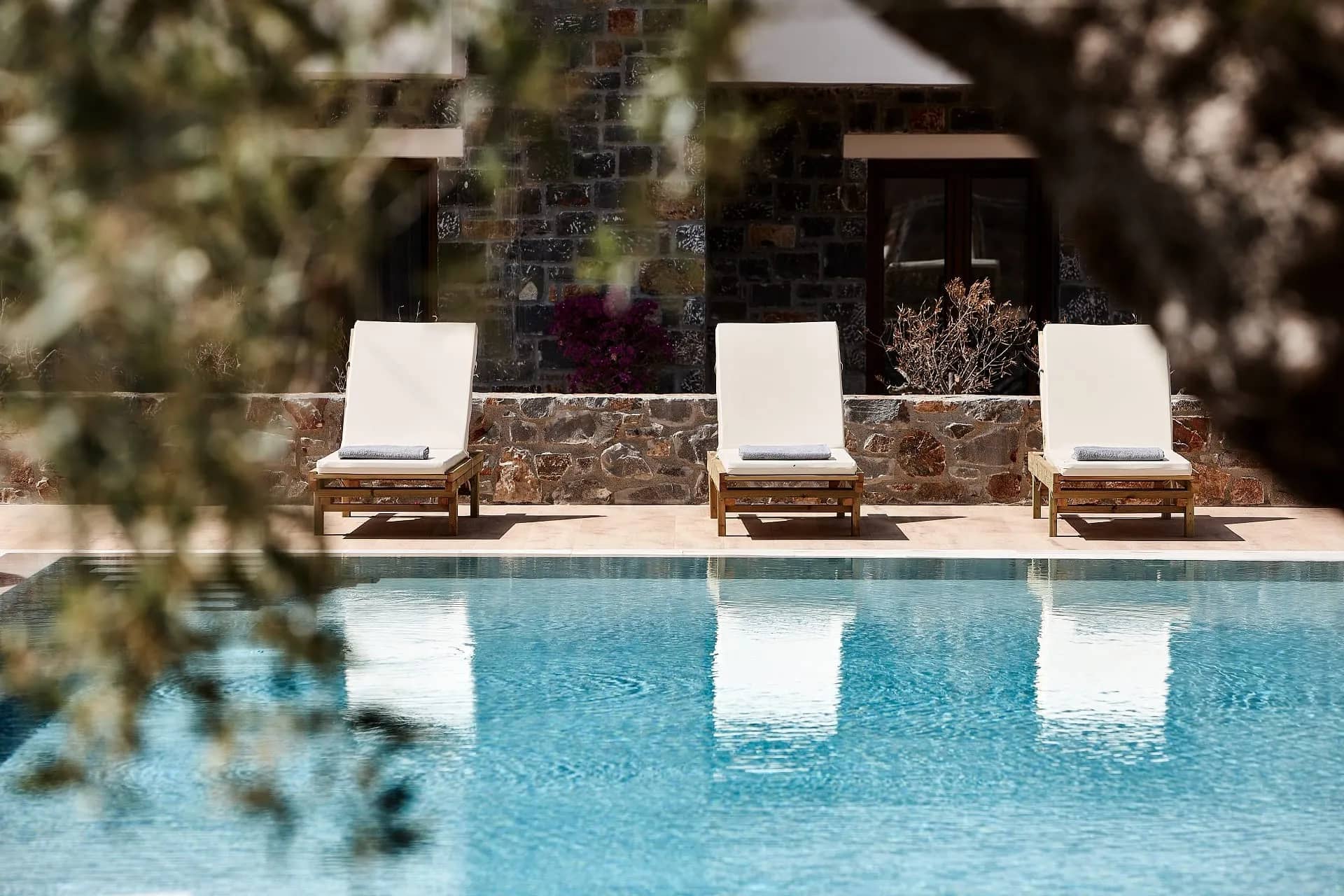 Sun loungers by the swimming pool, seen through the olive branches