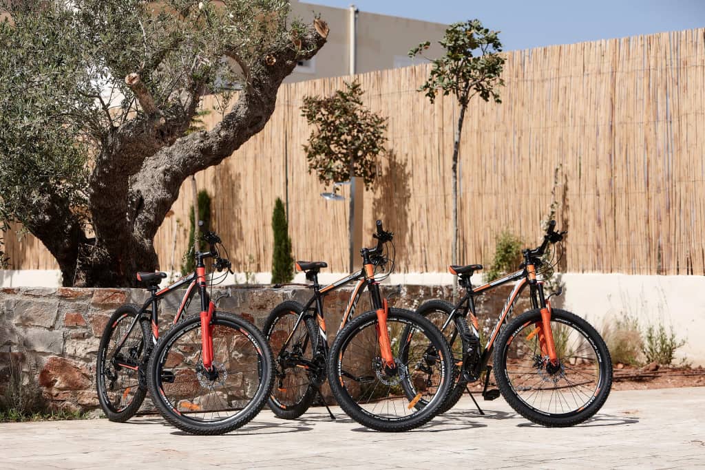 Four mountain bikes lined up by a stone wall and bamboo fence in the sunny courtyard